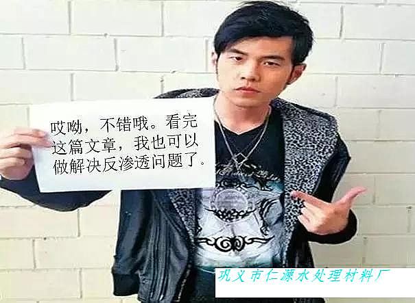 聚丙烯酰胺廠家:數(shù)來(lái)寶版反滲透問(wèn)題分析及判斷方向指導(dǎo),超好記