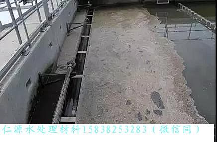 仁源陰離子聚丙烯酰胺HPAM廠家帶您走近德國柏林Wassmannsdorf 污水處理廠