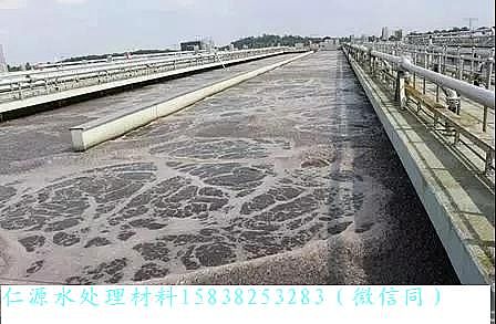 仁源陰離子聚丙烯酰胺HPAM廠家帶您走近德國柏林Wassmannsdorf 污水處理廠