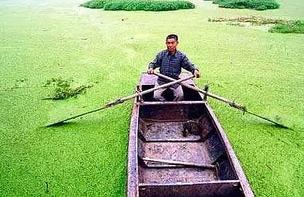 生物陶粒濾料廠家詳解水體富營養(yǎng)化成因、防治原理和技術措施