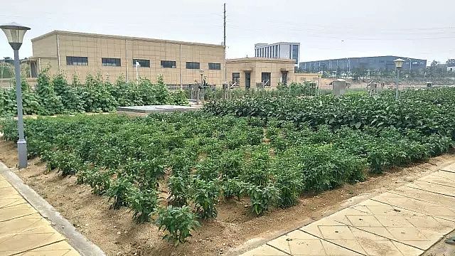 陶粒濾料生產廠家—田園式污水廠