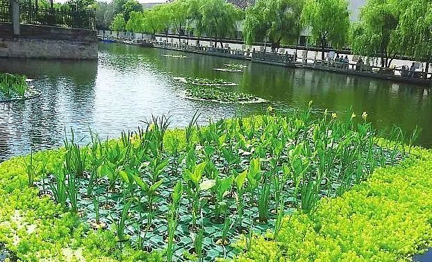 無煙煤濾料生產廠家城市黑臭水體整治