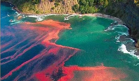 ��ʯ�V�����a�S�ҽ�����������������������B���������B�����P�ϵ�