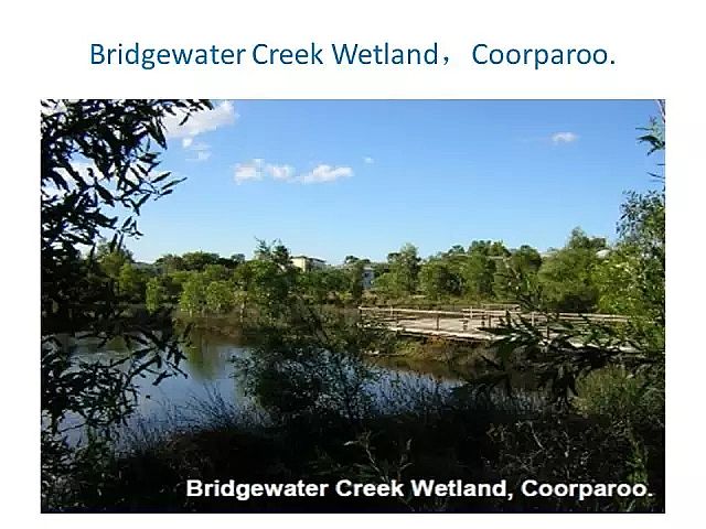 海綿鐵濾料廠家設(shè)計(jì)人工濕地全圖案例