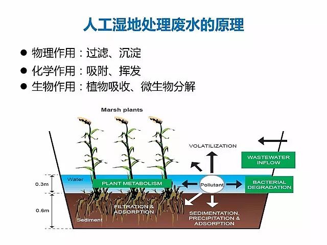 海綿鐵濾料廠家設(shè)計(jì)人工濕地全圖案例