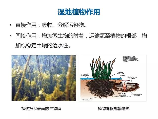 海綿鐵濾料廠家設(shè)計(jì)人工濕地全圖案例