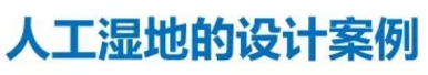 海綿鐵濾料廠家設(shè)計(jì)人工濕地全圖案例