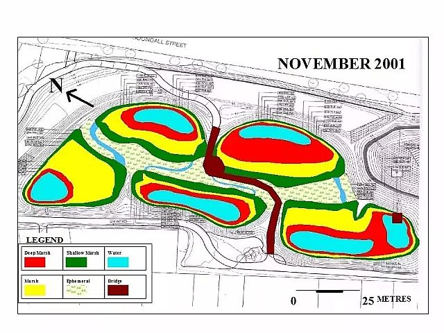 海綿鐵濾料廠家設(shè)計(jì)人工濕地全圖案例