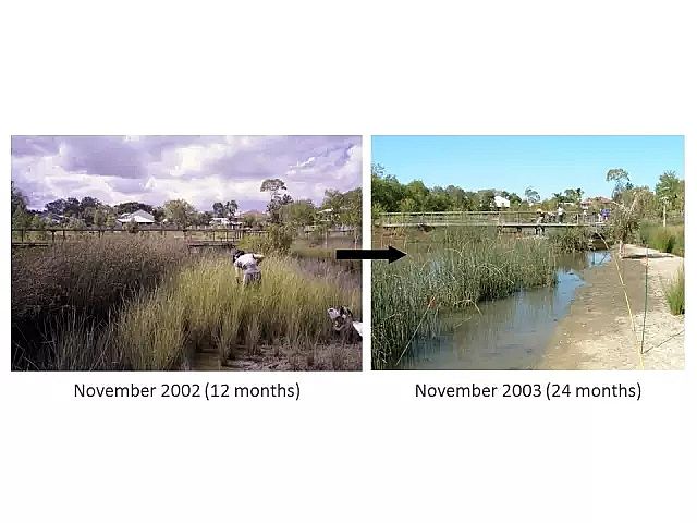 海綿鐵濾料廠家設(shè)計(jì)人工濕地全圖案例