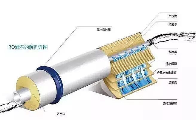 Ҭ������̿�S�ҷ��B͸�����Įa���c����