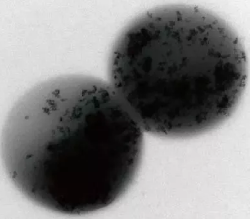 ��ɽ�r����V�����a�S�ұP�c2018�깤�Iˮ̎���I����¿Ƽ�