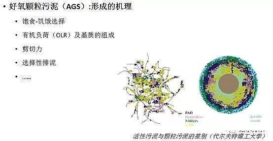 ��ˮ���ۺ��Ȼ��XPAC�S��δ����ˮ̎�����g(sh��)�İl(f��)չ��������