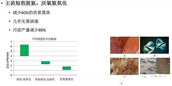 ��ˮ���ۺ��Ȼ��XPAC�S��δ����ˮ̎�����g(sh��)�İl(f��)չ��������