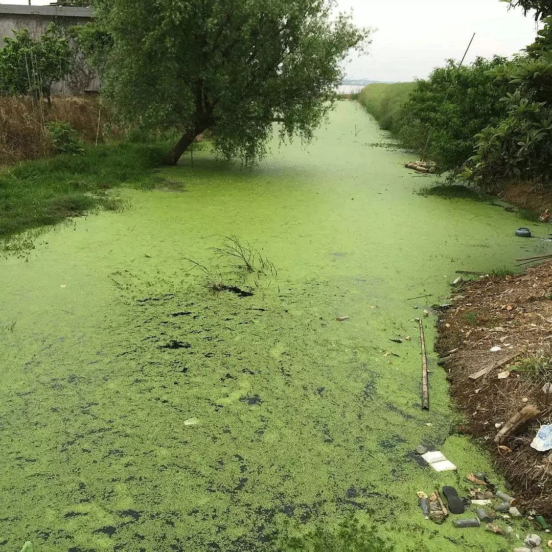 ��������ʯ�V�����a�S�Ұ����Uˮ�ā�Դ�cΣ��