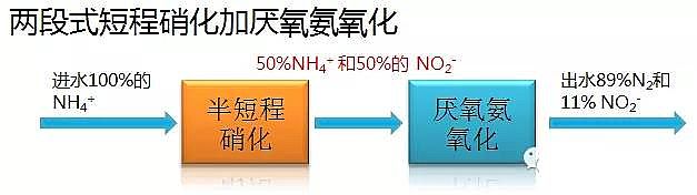纖維球濾料廠家厭氧氨氧化在全球的發展