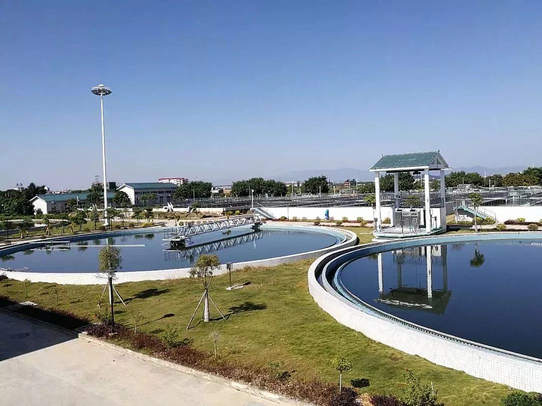 2019�ꇊ�F����ۺ������FPFS���a�S�Ұl���Բ��VS�Բ�����������������ˮ̎��S��������ƾ�?