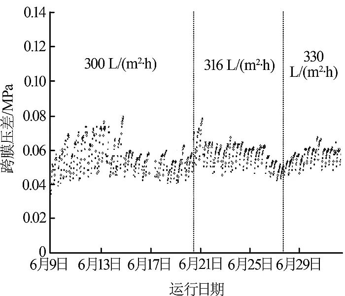 ����ϡ����ɰ�V�ϏS���մɳ��VĤ��늏S���W(xu��)ˮ̎��ϵ�y(t��ng)�����еđ�(y��ng)��