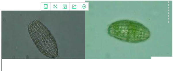 ���|�����V�ϏS����ˮ̎��ָʾ��΢�����ȫ!����������