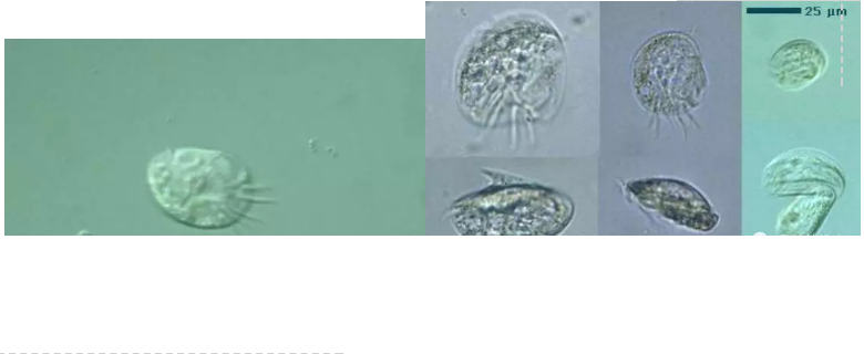 ���|�����V�ϏS����ˮ̎��ָʾ��΢�����ȫ!����������