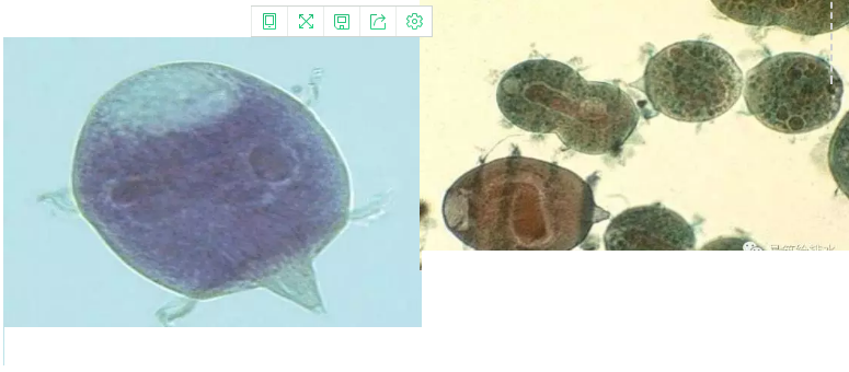 ���|�����V�ϏS����ˮ̎��ָʾ��΢�����ȫ!����������