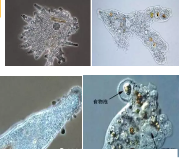 ���|�����V�ϏS����ˮ̎��ָʾ��΢�����ȫ!����������