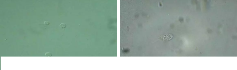 ���|�����V�ϏS����ˮ̎��ָʾ��΢�����ȫ!����������