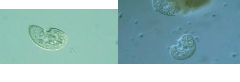 ���|�����V�ϏS����ˮ̎��ָʾ��΢�����ȫ!����������