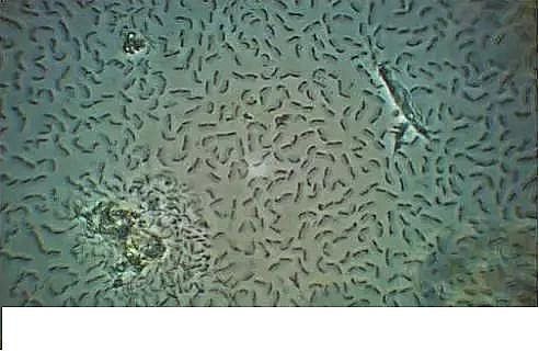 ���|�����V�ϏS����ˮ̎��ָʾ��΢�����ȫ!����������