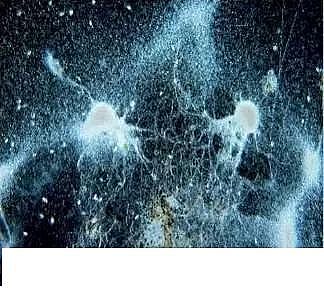 ���|�����V�ϏS����ˮ̎��ָʾ��΢�����ȫ!����������