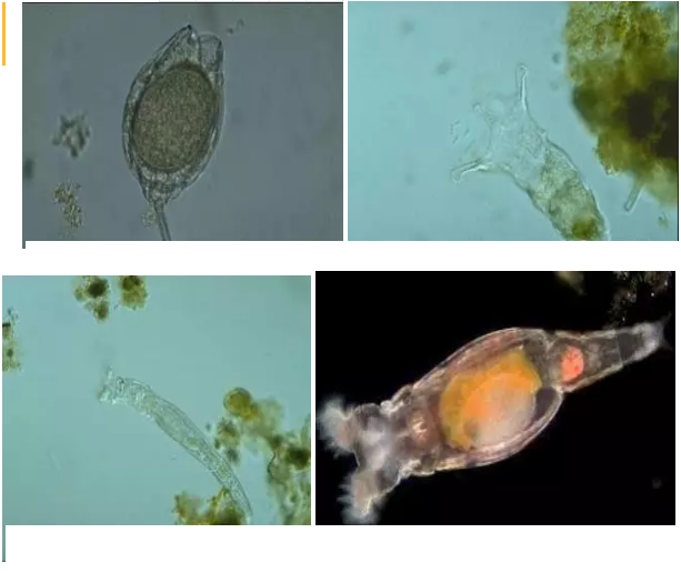 ���|�����V�ϏS����ˮ̎��ָʾ��΢�����ȫ!����������