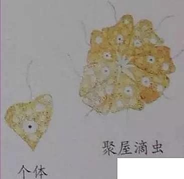 ���|�����V�ϏS����ˮ̎��ָʾ��΢�����ȫ!����������