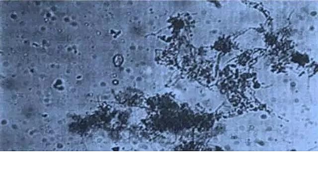 ���|�����V�ϏS����ˮ̎��ָʾ��΢�����ȫ!����������