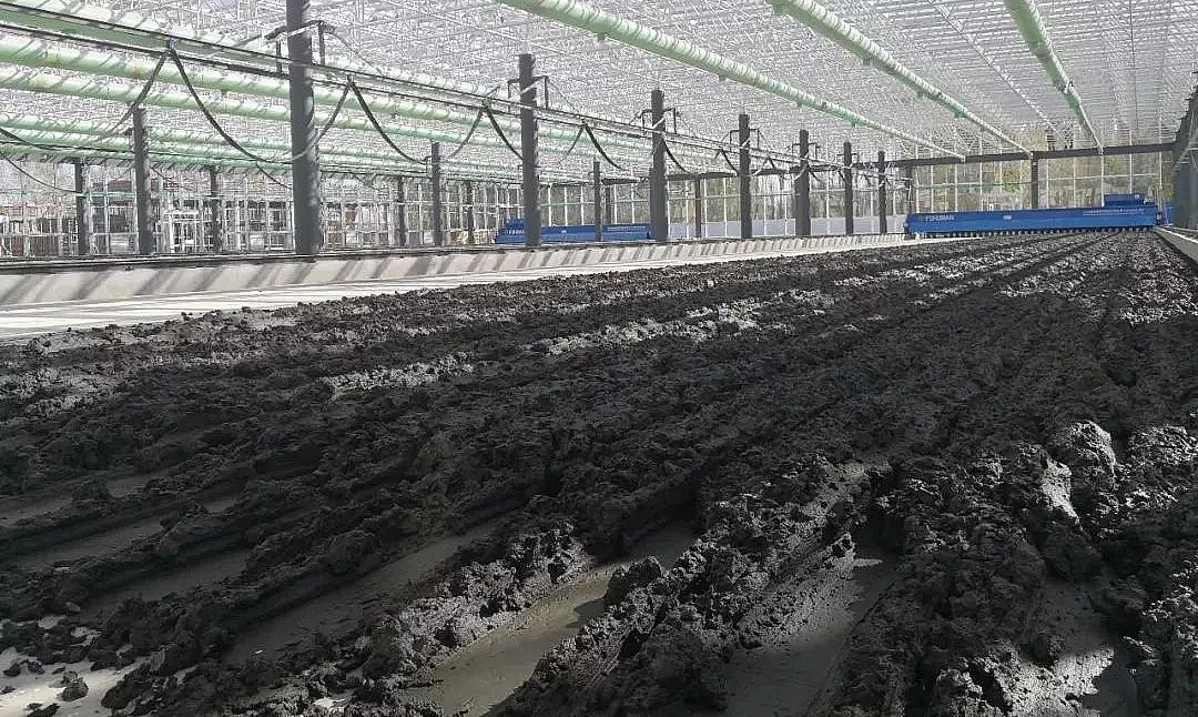 ������x�Ӿ۱�ϩ�������a(ch��n)�S������̎��̎�õĶ��x�����ڵĆ��}�ͽ�Q����