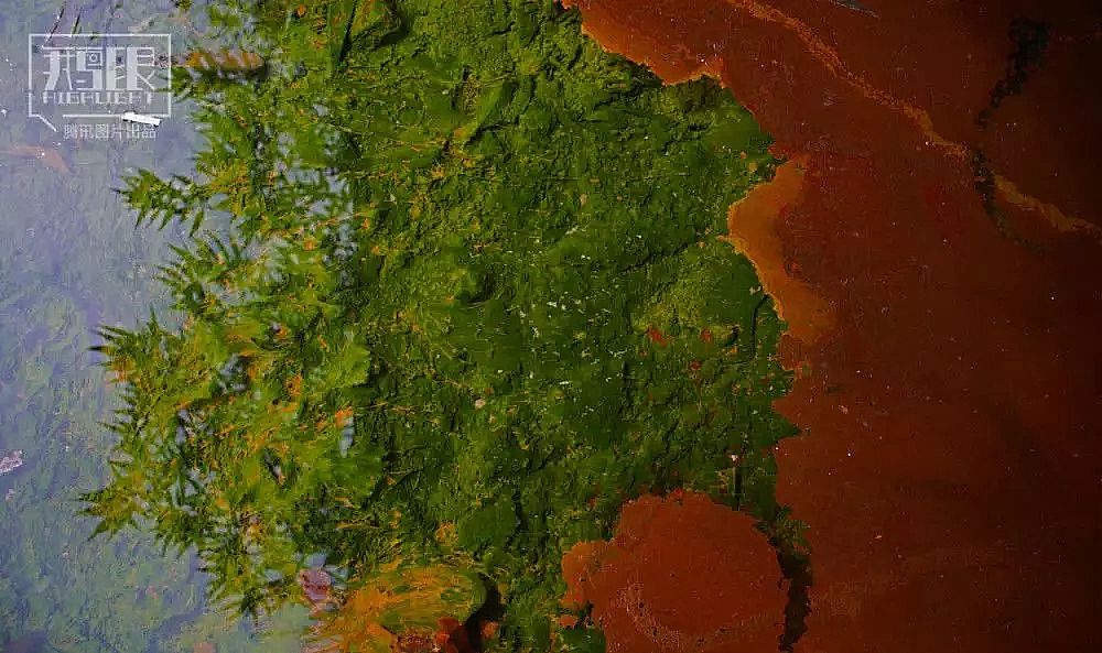 2019��Aʽ�Ȼ��X�S�Ұl���ؽ��ٺ͡���ˮ���Ӱ�µĴ��f��ʮ��o���������r�ﱻȾ���F�Pɫ