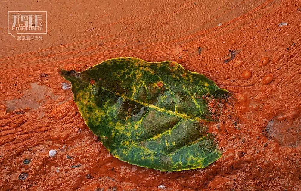 2019��Aʽ�Ȼ��X�S�Ұl���ؽ��ٺ͡���ˮ���Ӱ�µĴ��f��ʮ��o���������r�ﱻȾ���F�Pɫ