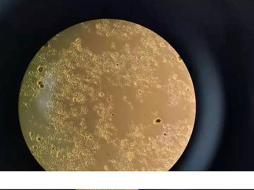 2020��ۺ��Ȼ��FPAFC���a�S����������ϵ�y��Ӱ�