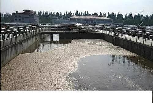 2020����x�Ӿ۱�ϩ����NPAM���a(ch��n)�S�ҽ�(j��ng)�(y��n)!11��(g��)��ˮ̎���\(y��n)�I�еĸй�ָ��(bi��o)