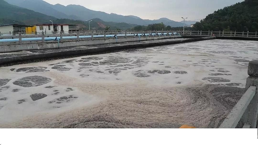 2020����x�Ӿ۱�ϩ����NPAM���a(ch��n)�S�ҽ�(j��ng)�(y��n)!11��(g��)��ˮ̎���\(y��n)�I�еĸй�ָ��(bi��o)