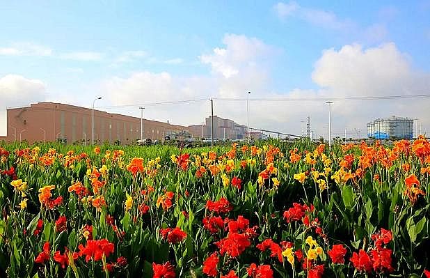 2020��ۺ��Ȼ��FPAFC�S���_��BOOұ���ИI�h��������ģʽ