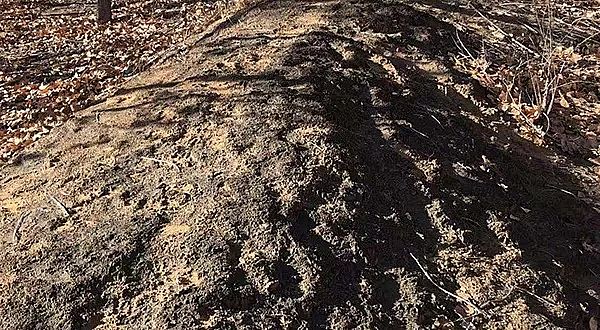 2019�����������V���a�S���v����ɳĮ��Ⱦ�{�飺��ұ���Iǰ������ˮ���