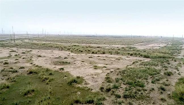 2020��Y(ji��)���Ȼ��X���a(ch��n)�S�����ۿڔ�(sh��)ǧ���lΣ�~p���ɣ��S�ӌ�ӭ���(y��n)�O(ji��n)��