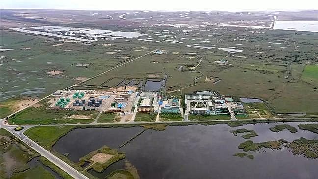 2020��Y(ji��)���Ȼ��X���a(ch��n)�S�����ۿڔ�(sh��)ǧ���lΣ�~p���ɣ��S�ӌ�ӭ���(y��n)�O(ji��n)��