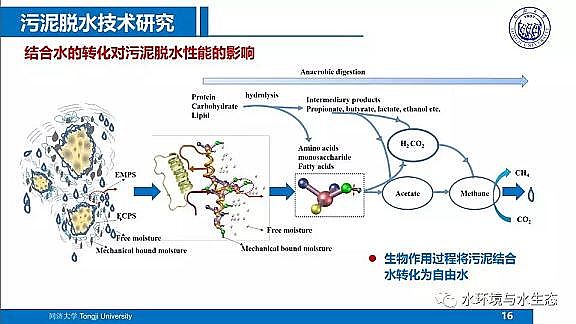 ˮ̎��V�ϏS����ĭ�V��V��EPS������ˮ�S����̎�ù�ˇ���g(sh��)·��