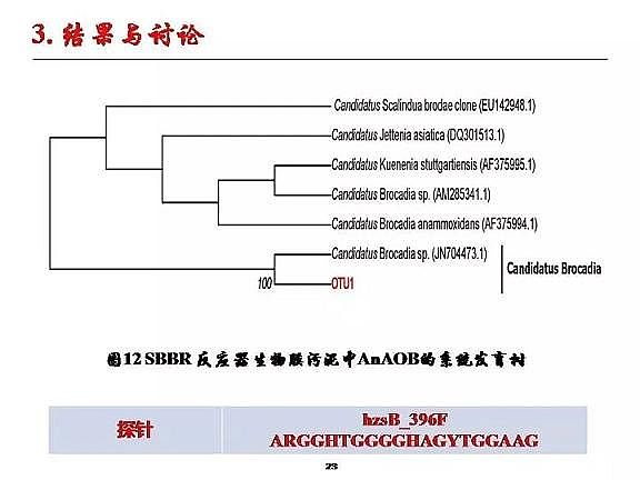 ��(y��u)�|(zh��)�w�S���������a(ch��n)�S�ҳ�����ˮ����������Ó���о�