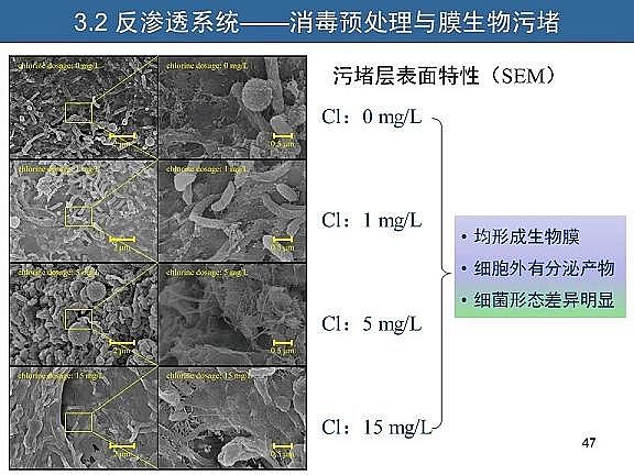 ��Ч�w�S��V�����a�S��ˮ�������c��ˮ����̎����ˇ�\����������