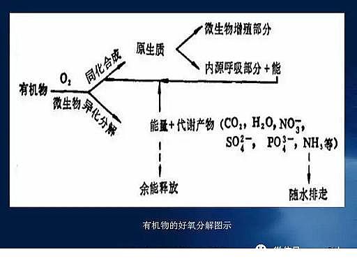 ˮ̎��V�����a(ch��n)�S��ʯӢɰ�V����ˮ̎����ˇ���̈D��Ԕ��