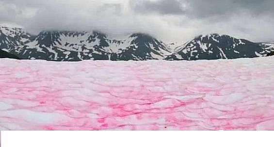 ˮ̎���������w�����������a�S������ˮ�ա���݋ˮ�c���׃��