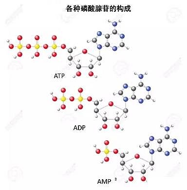 ��Ч���w���ׄ����a�S����ˮ���С�r��������