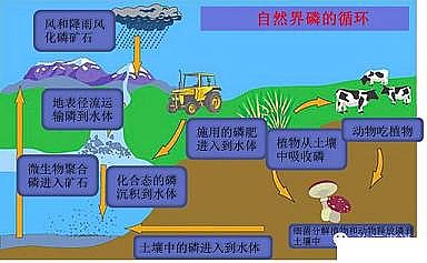 ��Ч���w���ׄ����a�S����ˮ���С�r��������