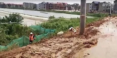 ��Ч���w�W(w��ng)���������a(ch��n)�S��۶ꖺ�����漱!ȫ��433�l�����l(f��)��������ˮ